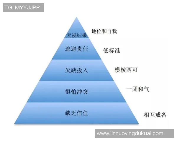上海篮球队杯赛表现分析展现实力与团队协作的完美结合
